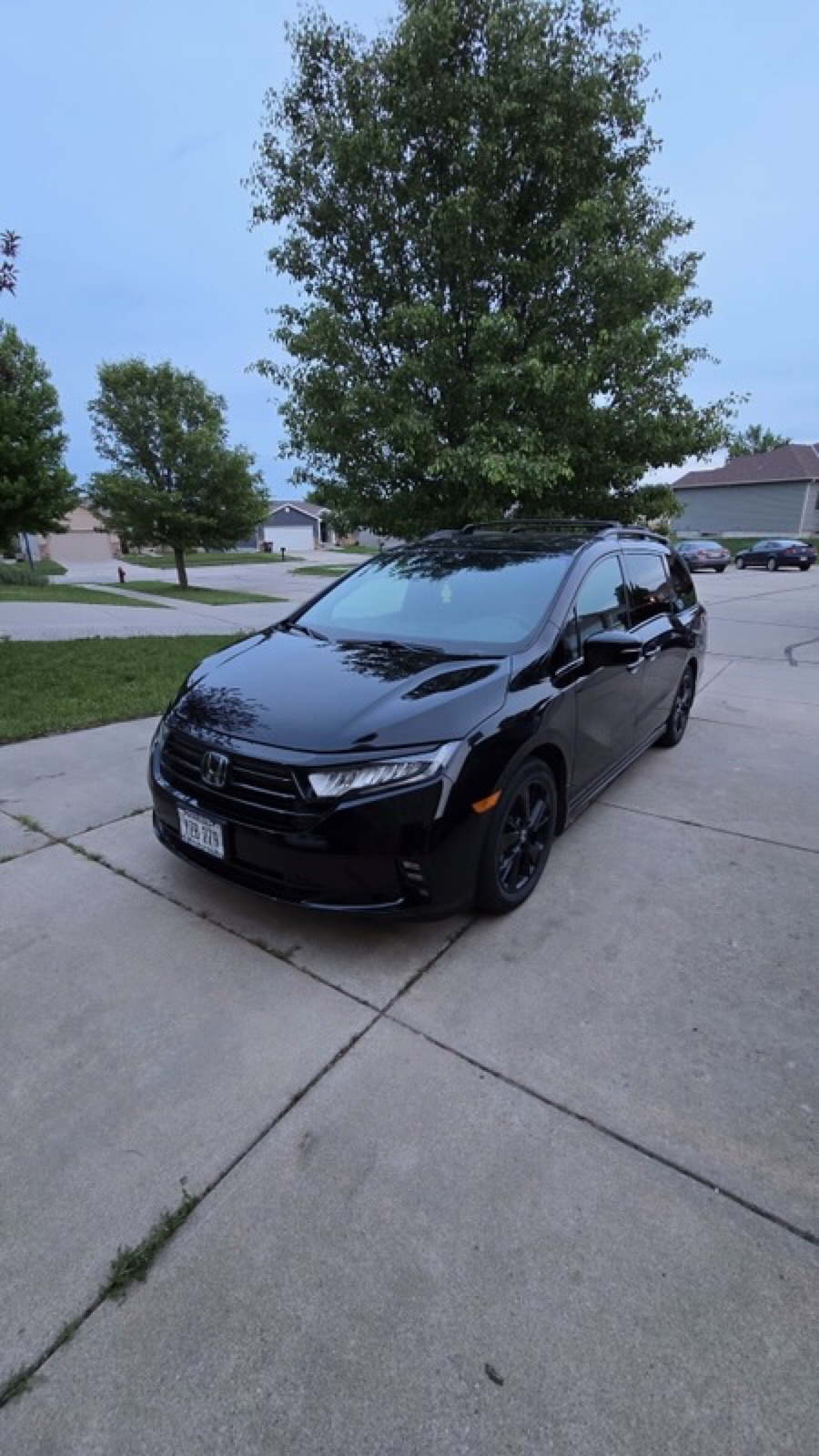 Detailed dark Tesla in a driveway